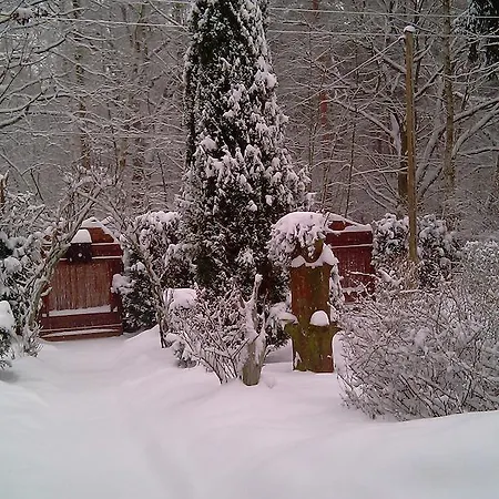 Σπίτι διακοπών Norwegisches Holzhaus Neuruppin