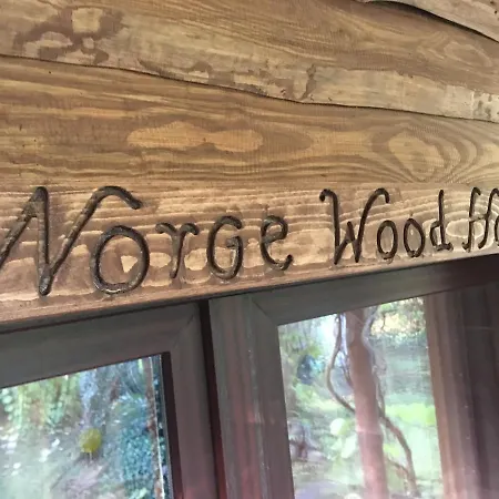 Σπίτι διακοπών Norwegisches Holzhaus